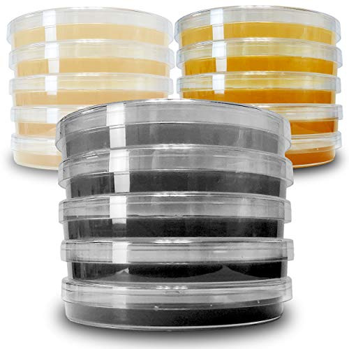 ES EVVIVA SCIENCES Agar Variety Kit - Prepoured Potato Dextrose, Malt Extract, & Black Potato Dextrose with Black Dye & Charcoal Mix - Premium Performance - Great For Mushrooms & Science Projects