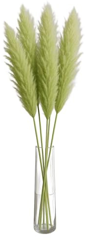 Fresh Plants Pflanze - Set mit 5 grünen stabilisierten Pampasgräsern Höhe ca. 160 cm