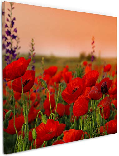 Wallario Leinwandbild Mohnblumen auf dem Feld - Wandbild 50 x 50 cm: Kunstdruck | Brillante lichtechte Farben | hochauflösend | verzugsfrei