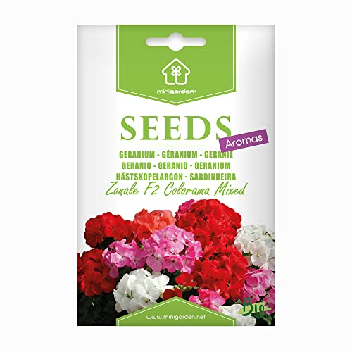 Bio-Geranie-Samen 'zonale F2 Colorama Mixed' von Minigarden – 100% natürlich, GVO-frei, bereit zur Aussaat, reproduzierbar – 10–15 Samen