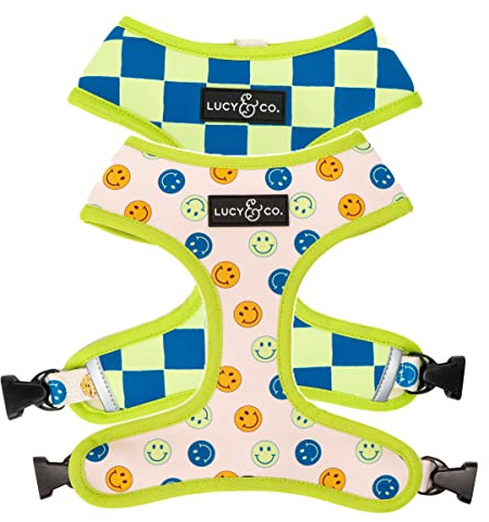 Lucy & Co. Hundegeschirr mit Smiley-Gesichtern, niedliches wendbares Hundegeschirr, Gassigrün – beste Designer-Haustiergeschirre für XS-XL Hunde – gepolsterte, verstellbare Weste für einfaches