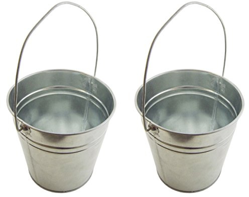 SciencePurchase 2 Pack Galvanized Metal Pail Buckets, 6 Inch Tall, 6 Inch Diameter
