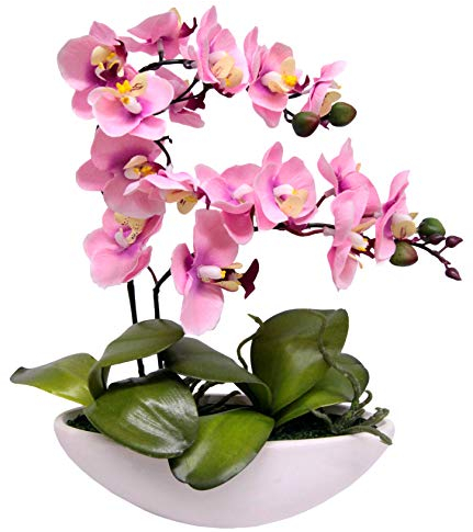 Künstliche Orchidee in Schale 27cm Kunstblume Blume Kunstorchidee Phalaenopsis mit Übertopf Kunstpflanze Hochzeit Deko Schmetterling Phalaenopsis Dekoblume Seidenblume Blumenarrangements, rosa