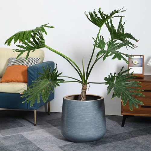 FGJKKRMI Große Keramik-Blumentöpfe Mit Ablaufloch Und Untersetzer, Moderne Blaue Blumentöpfe, Runder Dekorativer Übertopf for Drinnen Und Draußen, for Sukkulenten/Schlangenpflanzen/Orchideen