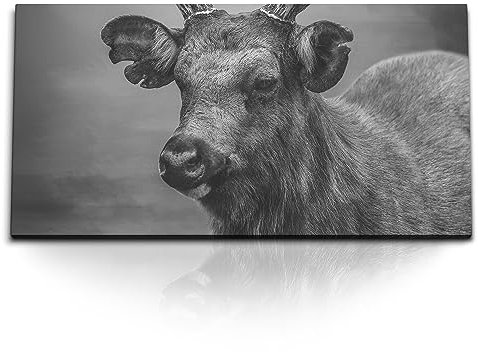 Paul Sinus Wandbild 120x60 cm Hirsch – Ausdrucksstarke Wildheit, kunstvoll auf Leinwand und Holzrahmen festgehalten