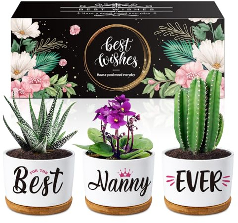 Buioata Nanny Birthday Gifts, Flower Pot Gifts for Nanny, Nan, Gran Present | Touching Sayings Engraved Presents for Nanny, Gran birthday gifts, Nan Presents for Birthday Thanksgiving Mothers Day