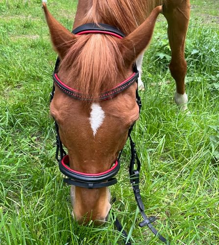 Brama West Reithalfter Pferd Sparkle - englisch kombiniert - Ledertrense mit Antislip Zügel und Strasssteinen (Rot, XFull)