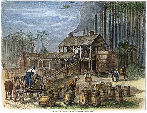 Turpentine Distillery Nafrican Americans Working In A Turpentine Distillery In The Pine Woods Of North Carolina Wood Engraving American Mid-19Th Century Poster Print by (24 x 36)