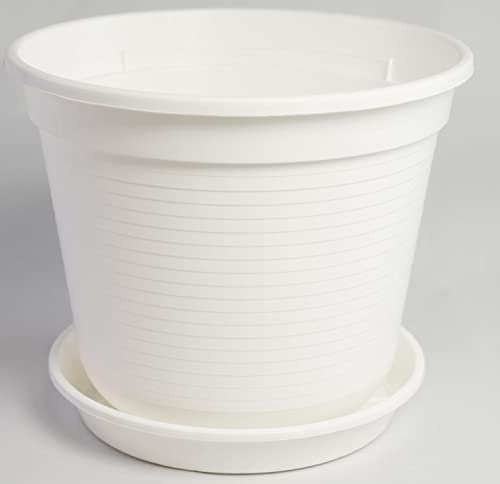 Geli GmbH Blumentopf Standard mit Untersetzer in versch. Größen und Farben, Farbe:weiß, Durchmesser:28 cm