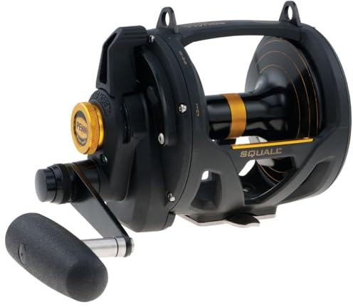 Penn 30VSW Squall Lever Drag 2 Speed - Multirolle Meeresrolle, Rolle für das Salzwasserangeln, Angelrolle für das Fischen auf kampfstarke Fische, Salzwasserrolle