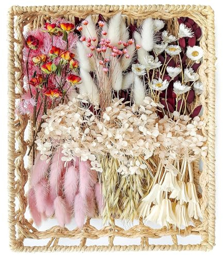 xin's convey DIY Natural Dried Flower Set for Vase, Bulk Boho Dried Flowers with Stems,Fall Decor, Mini Flower Arrangements.(Pink)