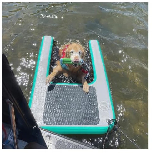 MZZKFC 150cm Hund Pool Rampe Oberhalb des Bodens Pool, Aufblasbare Schwimmende Große Hund Wasser Rampe Leiter Für Pools/Seen/Meere, Kleine Hund Boot Rampe, Schwarz Blau Grün Rot Gelb(Green)