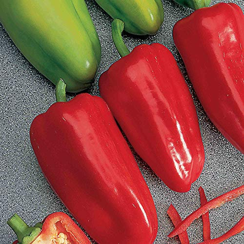 Suttons - Pepper Sweet Seeds - F1 Gypsy