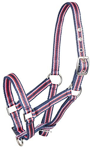 Foal Halter, Striped Blue/Pink