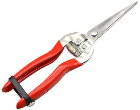 Tijeras De Podar | Tijeras De Jardinería De Acero Inoxidable Y Herramientas Para Bonsáis | Herramienta Para Cosecha, Flores, Bonsáis, Uvas, Vides Y Naranjos
