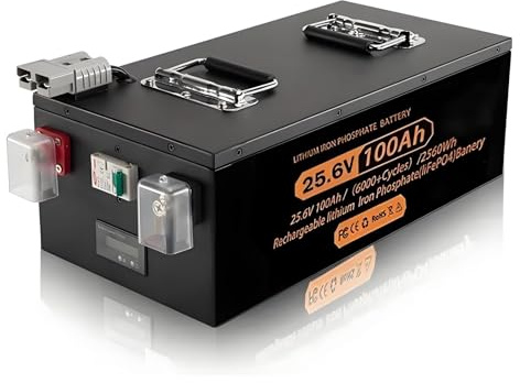 BOGJFC Batería LiFePO4 24V 100Ah Pack 25,6V 100Ah 2560Wh Con BMS 100A Para Inversor Solar Autocaravana Caja Metálica 420x220x150mm 22Kg