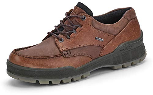 ECCO Track 25 M herr Höghöjande vandringsskor Utomhussko, Brun, 43 EU