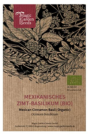 Basilico di cannella messicano (Ocimum basilicum) biologico - circa 400 semi