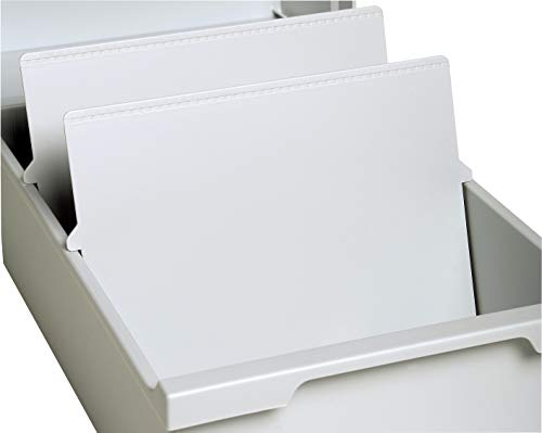 Exacompta 54540D 2er Pack Trennplatten für Karteikassetten und Karteikästen DIN A4 quer lichtgrau zb. für Karteitrog 51540D, 57240D Blauer Engel Karteikasten