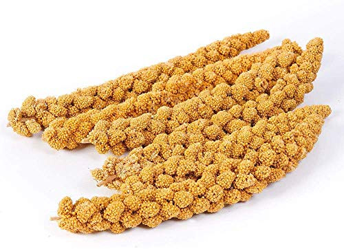 Millet Sprays naturally grown and hand picked 1kg