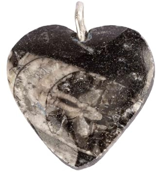 NKlaus Fossiler Orthoceras - Pendentif en forme de cœur - 3,2 x 3,3 cm - Sculpté à la main - En fossiles - Idéal pour la décoration spirituelle, la guérison et la méditation - Harmonisation