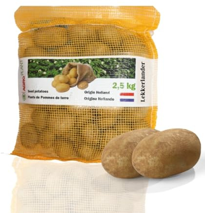 Pflanzkartoffeln, Sorte: Lekkerlander (Frühkartoffel), 2,5 kg (ca. 30 Stück), vorwiegend festkochend, Premium Saatkartoffeln, Zertifiziertes Pflanzgut, das Original vom Fachmann