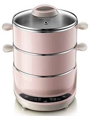 OQHAIR Acier Inoxydable DoubleCouche Vapeur Électrique Multifonction Cuisinière Électrique Chaudière À Oeufs Réchauffeur De Nourriture Vapeur Pot Cuiseur À Vapeur