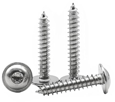 FandWay Torx Vis Autotaraudeuses à Tête Ronde Avec Rondelle M5x12/16/20/25/30mm, Acier Inoxydable 304 à Bois, Tête Bombée, à Tôle Autoperceuses Entièrement Fileté (10 Pièces/Chacune)