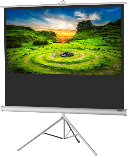 celexon Economy Stativ-Leinwand weiß 60 | 133x75 cm 16:9 | mobil transportable 4K, Full-HD Beamerleinwand mit manuellem Rollauszug für Heimkino, Büro & Outdoor | inkl. Standfuß + Tragegriff