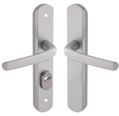 Vachette Set de Poignée de Porte sur Plaque Sécumax Up - Version Clé I, Entraxe 195 mm - Pose Facile - en Aluminium - Protecteur de Cylindre Inox Ajustable de 5 mm - Anodisé Argent - Garantie 10 Ans