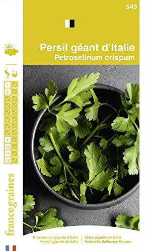 France Graines - Persil Géant Italie