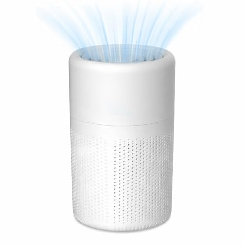 Mini Air Purifier for Bedroom Home, Small Air Purifiers with H13 HEPA Filters, Quiet HEPA Filter Cleaner with Aromatherapy for Better Sleep, Air Frenshener, Allergies, Dust, Pet Dander, Odour, Smoke