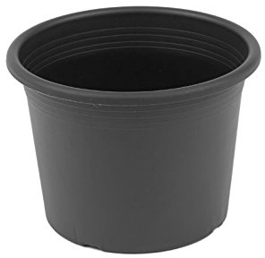 Megaplastic Pflanzkübel 60 cm und 43 cm hoch