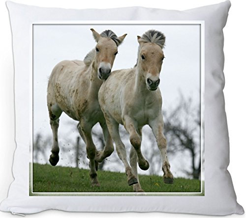 +++ FJORD Fjordpferd Norweger Pferd - Kuschelkissen/KISSEN | PILLOW/Dekokissen - FJO 60