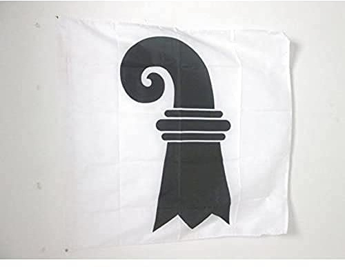 AZ FLAG Drapeau Canton de Bâle-Ville 90x90 cm Polyester 100D Fourreau | Usage intérieur et extérieur Drapeau décoratif de Basel-Stadt coutures doubles et bords renforcés avec fourreau pour mât