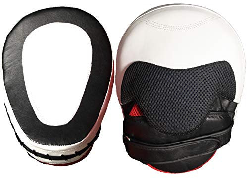 Lisaro Profi Pratzen Boxing Pads with Padding für Kickboxing, Trainer Pads, Punch Pads für Karate MMA Taekwondo Muay Thai