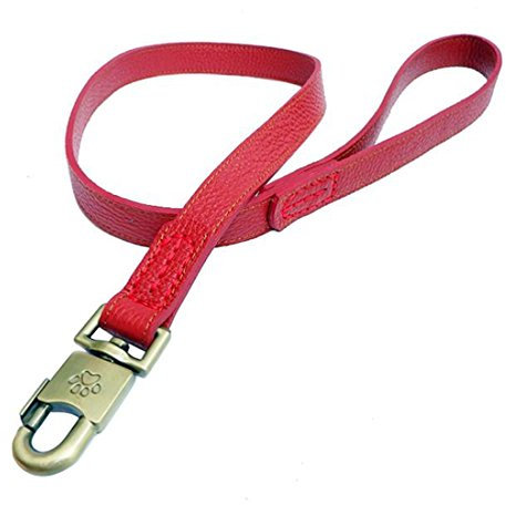 Hundeleine Echtleder 120CM Handgemacht Führendes Walking Leine Haustier Spazierleine Lederleine Widerstandsfähiges Haltbare Trainingsleine Vollrindleder Führleine für Mittelgroße Große Hunde (M, rot)