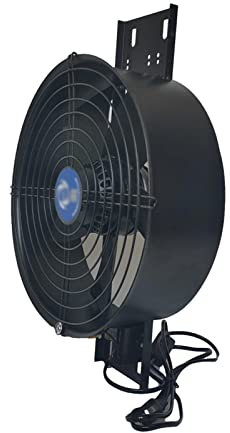 CGCSYZ Ventola di Ventilazione Potente Ventola di Ventilazione da Cucina Ventola a Flusso assiale con rotore Esterno 8 10 12 Aspiratore Industriale Domestico con cope(Un Colore da 8 Pollici