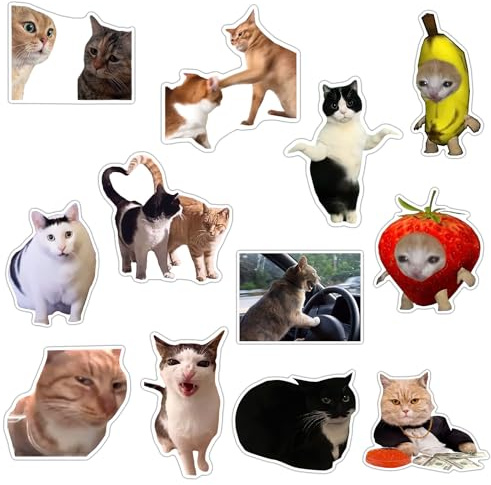 GTOTd Funny Cat Meme Accessories Decoration Fridge Magnet（12 Pack） Cute Cat Merch Party Accessory Party Gifts Cruise Door Room Decor Magnetic Bumper Cabinets Sticker Decal Reusable Vinyl Style A