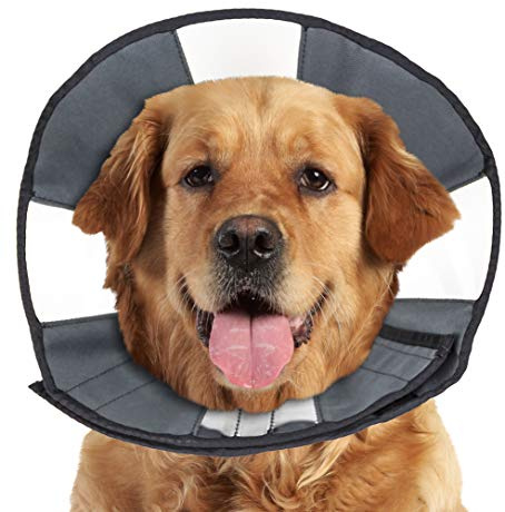 ZenPet ProCone Pet E-Collar for Dogs and Cats - Comfortable Soft Recovery Collar is Adjustable for a Secure and Custom Fit - Easy for Pets to Eat and Drink - Works with Your Pet's Collar - X-Large