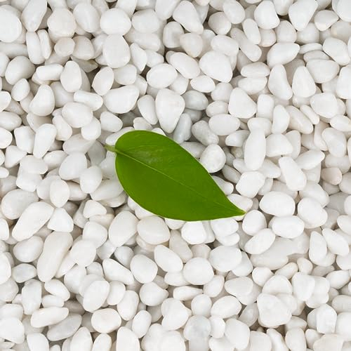 6,8 kg di ciottoli bianchi per piante, rocce bianche da 0,9 cm per vasi, paesaggistica, piccole pietre decorative per interni ed esterni, lucide