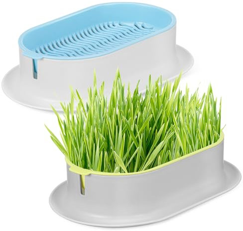 VANZACK 2 Pcs Cat Grass Planter Hydroponic Cat Grass Box Soilless Nursery Planting Tray for Indoor PET Snack