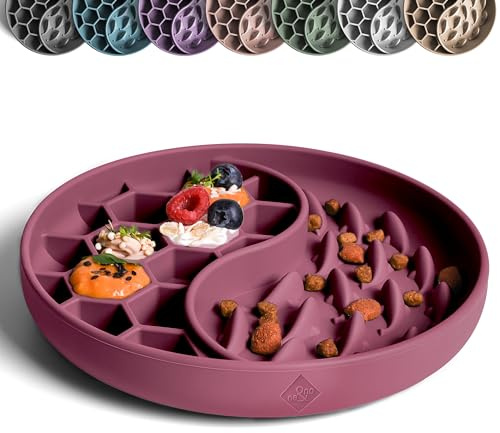 ne&no Anti-sning-skål för hundar och katter I Slow Feeder I Läckmatta hund med stor sugpropp I slickmatta katt för våt mat och torrfoder (ruby)