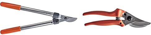 Original LÖWE 31 Profi Bypass Astschere 31.050 & 14 Bypass Rosenschere 14.104 mit scharfen Stahl-Klingen aus Carbon - robuste Gartenschere mit Antihaftbeschichtung für Rechtshänder