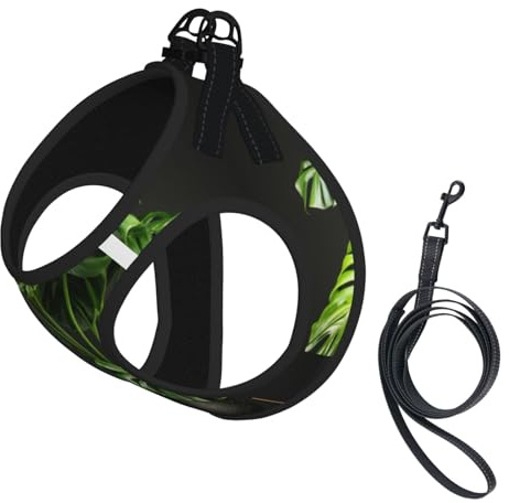 Monstera Deliciosa Banana Palm Print Harness Leash Set For Cat Dog, Reflective Adjustable Escape-Proof Vest Lead With Soft Breathable Mesh, For Small Pets And Kitten Puppy