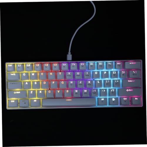 TEHAUX Clavier Mécanique Gaming Fil 61 Touches Blanc Rétroéclairé RGB pour Ordinateur et Ordinateur Portable Compact Ergonomique pour Joueurs