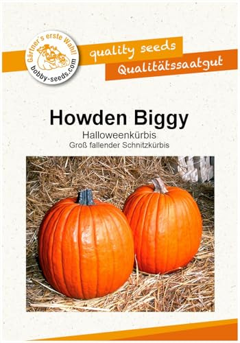 Kürbissamen Howden Biggy Portion