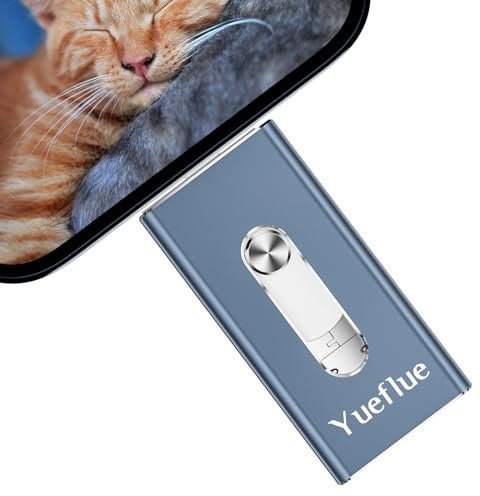 Yueflue 256 GB 3 en 1 Pendrive para lPhone/lPad/Android/PC y Tablet | USB para lphone Pendrive Almacenar Más imágenes y Vídeos. Interfaz Dual Push-Pull con Adaptador de Tipo C Independiente