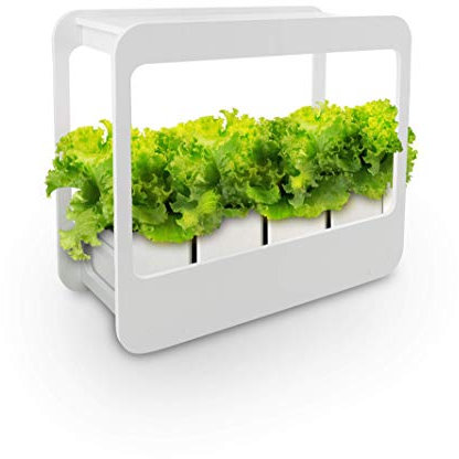 Nutriluce Mini Serra da Interno con Luci LED e Timer Automatico, Ideale per Coltivazione Indoor di Piante Aromatiche e Piccoli Ortaggi, Serra per Orto Intelligente, Idea Regalo Green