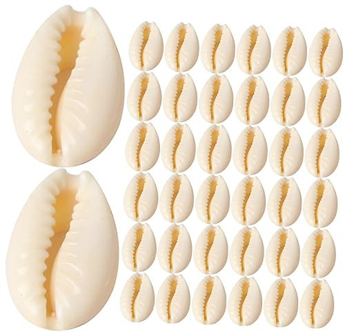 NUOBESTY 100st Muschel Windspiel Ovale Muscheln Meeresdekor Fischglasdekorationen Lichthausdekorationen Für Zu Hause Aquarium Haargummis Perle Selber Machen Muschel Schmuck Hülse Armband